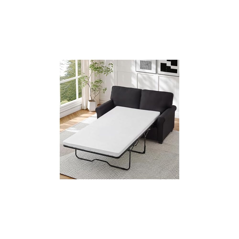Pull Out Sofa Bed,57"Sleeper Loveseat Couch for Living Room,Black